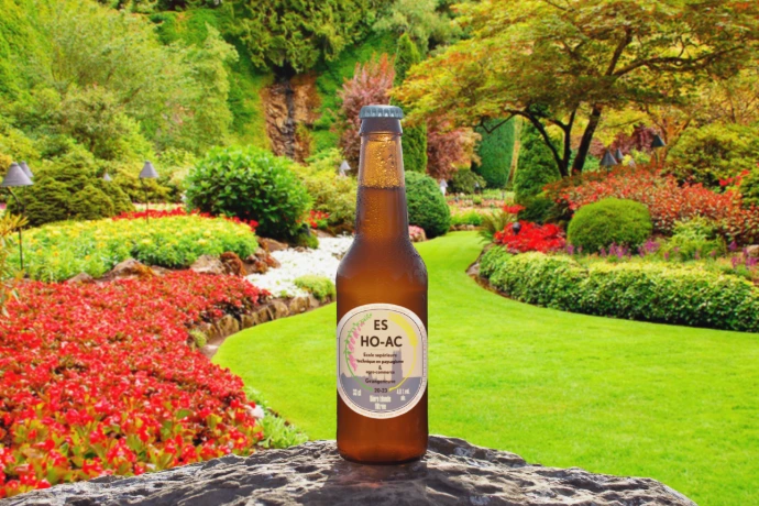 Beefunding bière personnalisée 